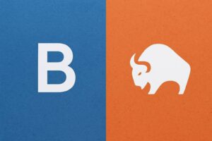 Beitragsbild zu Bitpanda vs. Bison