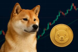 Shiba Inu: Aoki verkauft, Wale kaufen – Kurs bleibt träge