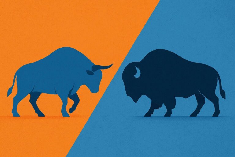 Beitragsbild zu Bitvavo vs. Bison