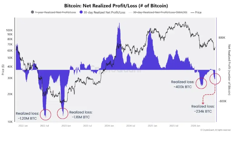 Bitcoin Net Realized Profit_Loss - Indikator