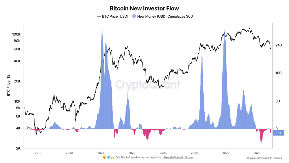Bitcoin-New-Investor-Flow