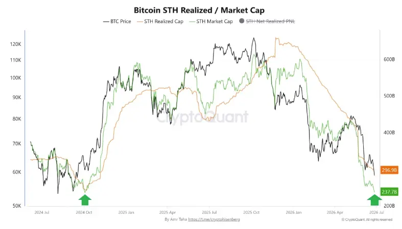 STH Bitcoin Investoren Juni 2026